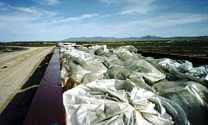 Super Sacks at Envirocare's Clive Facility
Keywords: Envirocare of Utah Waste disposal site, Clive Site