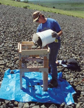 Field Tests are Conducted to Confirm Quality of Riprap at Lakeview, OR, Title 1 Disposal Cell
Keywords: Lakeview UMTRA