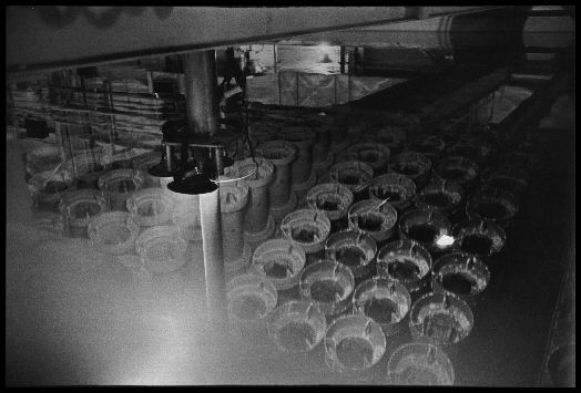 Irradiated Reactor Fuel rods
Irradiated Reactor Fuel rods are among the most radioactive materials on earth. These casks of irradiated fuel sit under 14 feet of water in the West Valley Reprocessing Plant. They are waiting to go into deep geologic storage. West Valley, New York. June 30, 1982. 
Keywords: West Valley