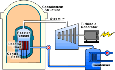 BWR Diagram
Boiling Water Reactors (BWRs) boil water so that it is converted to steam. The steam drives a turbine connected to a generator before being recycled back into water by a condenser and used again in the heat process.
Keywords: BWR
