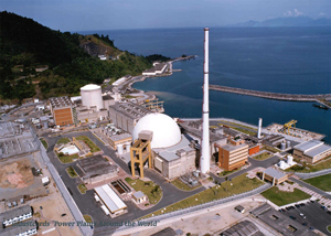 Angra
Operator: Eletronuclear
Configuration: 1 X 657 MW, 1 X 1,309 MW PWR
Operation: 1984-2001
Reactor supplier: Westinghouse, Siemens
T/G supplier: Westinghouse, Siemens
