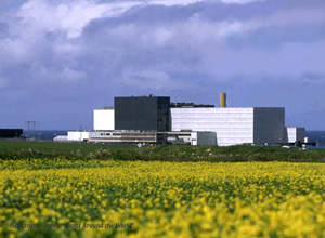 Dounreay PFR
Location: Caithness
Operator: UKAEA
Configuration: 1 X 250 MW FBR
Operation: 1976 (ret 1994)
Reactor supplier: UKAEA
T/G supplier: GEC
