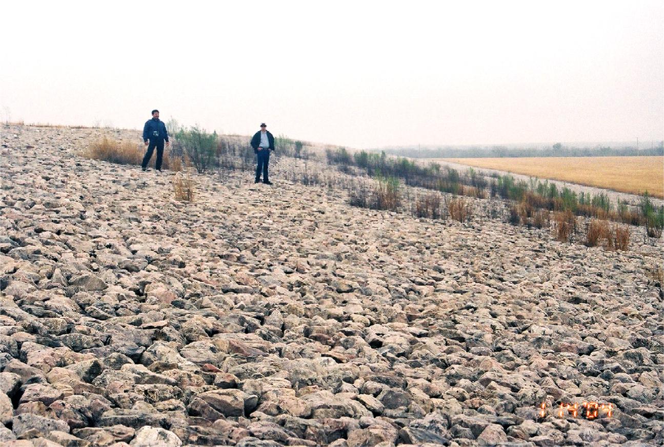 Typical vegetation growth found on the side slopes of the Falls City disposal cell.
