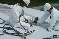 Painters on Ctmt Dome3.jpg