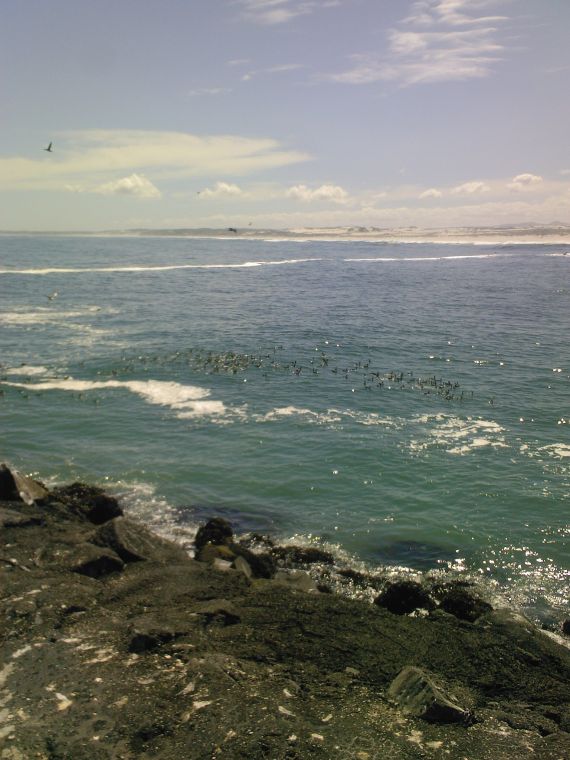 Click to view full size image
==============
Koeberg
Koeberg