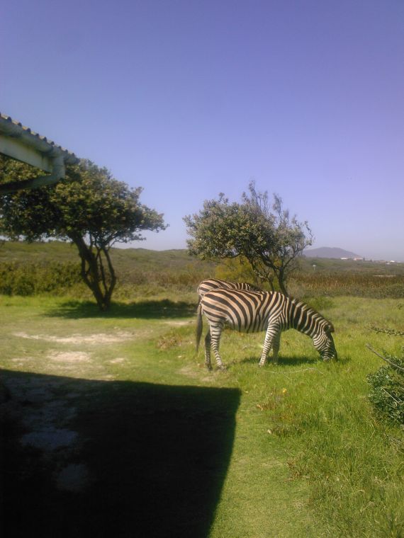 Click to view full size image
==============
Koeberg
Koeberg