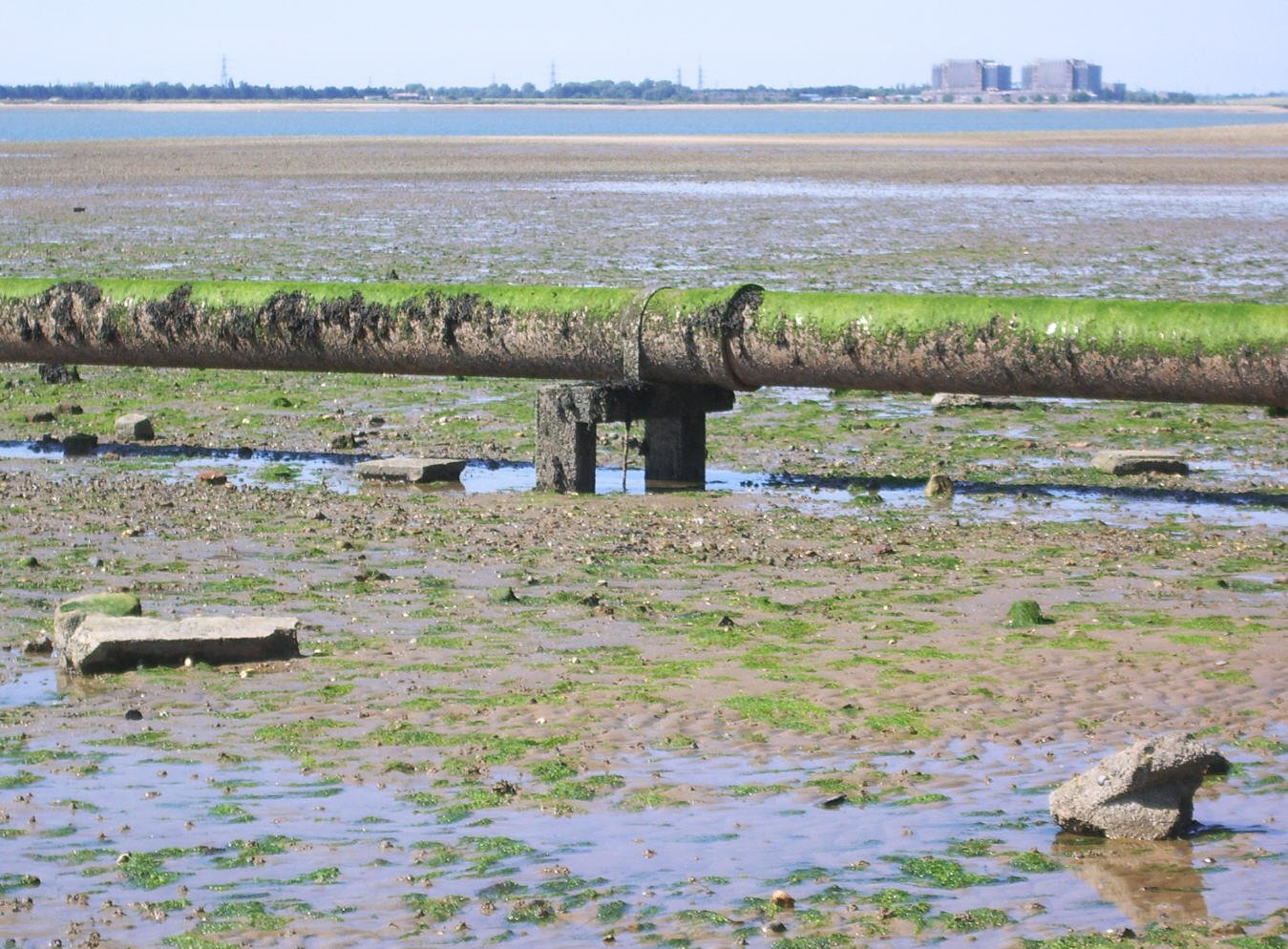 Bradwell from the sewage pipe
Keywords: Bradwell