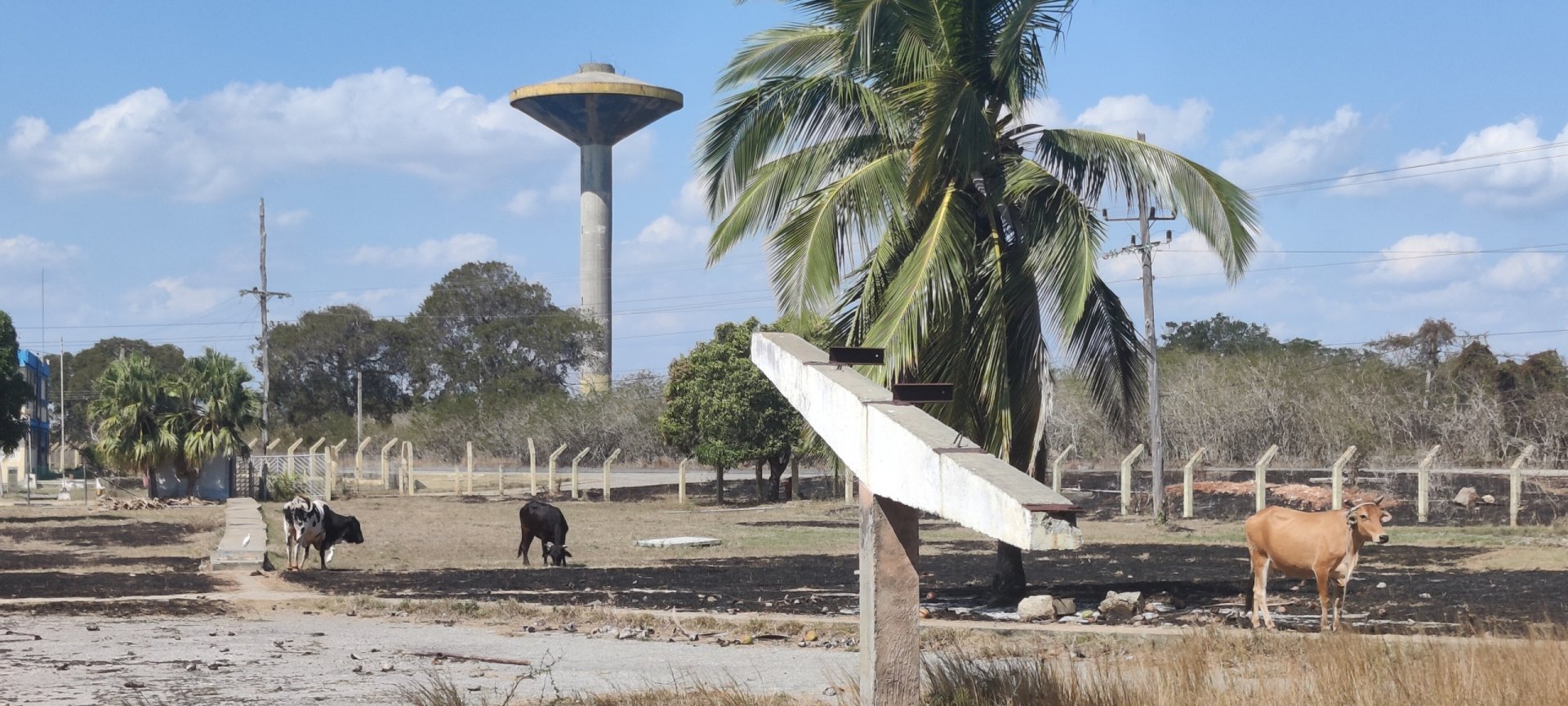Click to view full size image
==============
Ciudad Nuclear-067
Keywords: Juragua Ciudad Nuclear-067
Keywords: Juragua