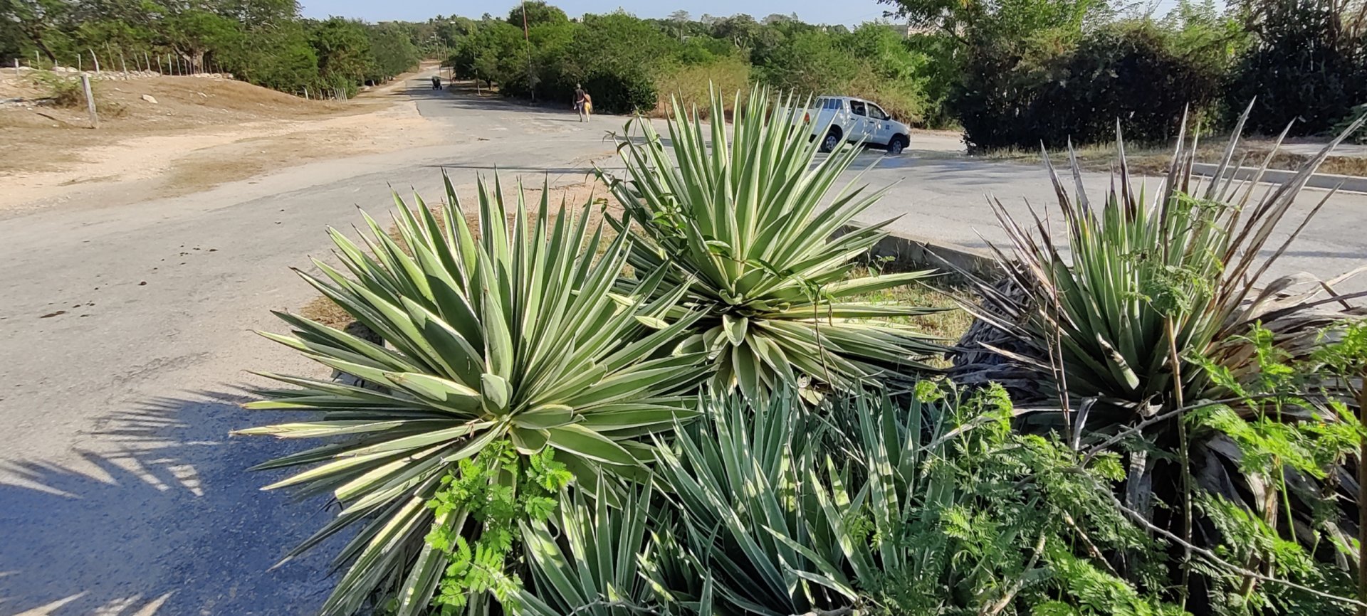 Click to view full size image
==============
Ciudad Nuclear-068
Keywords: Juragua Ciudad Nuclear-068
Keywords: Juragua