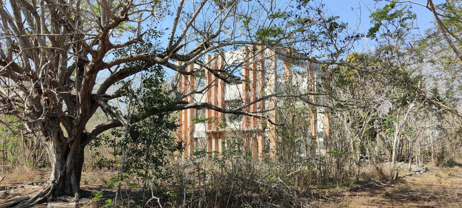 Click to view full size image
==============
Juragua Nuclear Power Plant 2023-17
Keywords: Juragua Juragua Nuclear Power Plant 2023-17
Keywords: Juragua