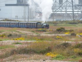 dungeness_rhdr_7_typhoon_dungeness_1306_03.jpg
