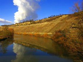 Neckarwestheim steam above a vineyard slope