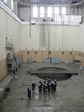 Seversk reactor hall with circular pit and group