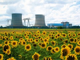 St. Laurent cooling towers rising above sunflowers